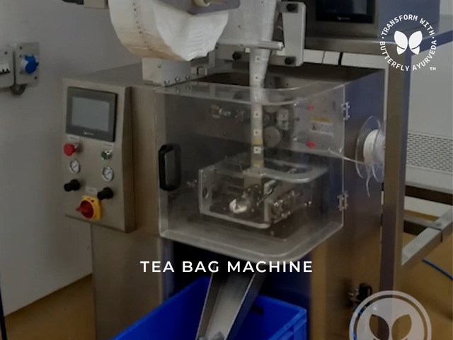 WhatsApp Image 2024-07-11 at 12.55.06 PM Butterfly Ayurveda