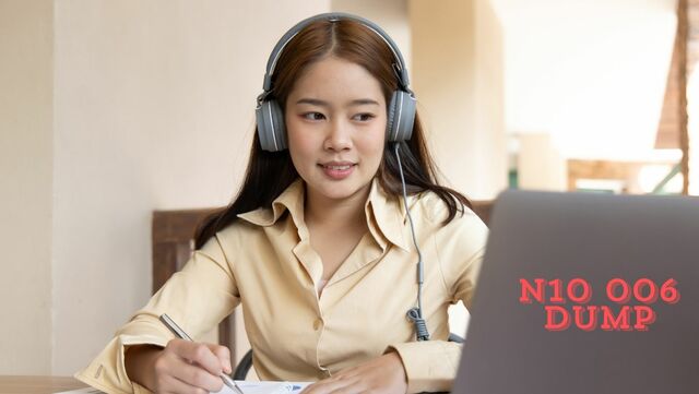 N10 006 Dump Picture Box