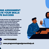 Programming Assignment Help... - Picture Box