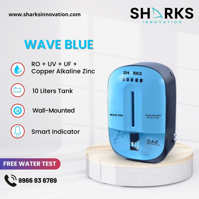 451544724 370942162683451 1544390578698476107 n Picture Box