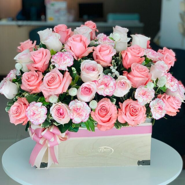 438169269 18431573701000550 2211135100740992193 n Picture Box