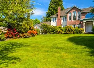 Hardscape Picture Box