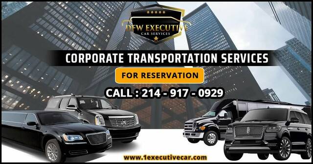 1executivecar.com Picture Box