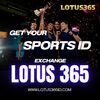 Lotus Exchange - Picture Box