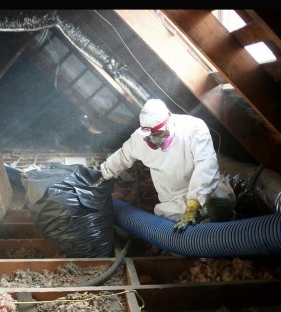 Attic-Cleaning  SuperGreen Attic insulation