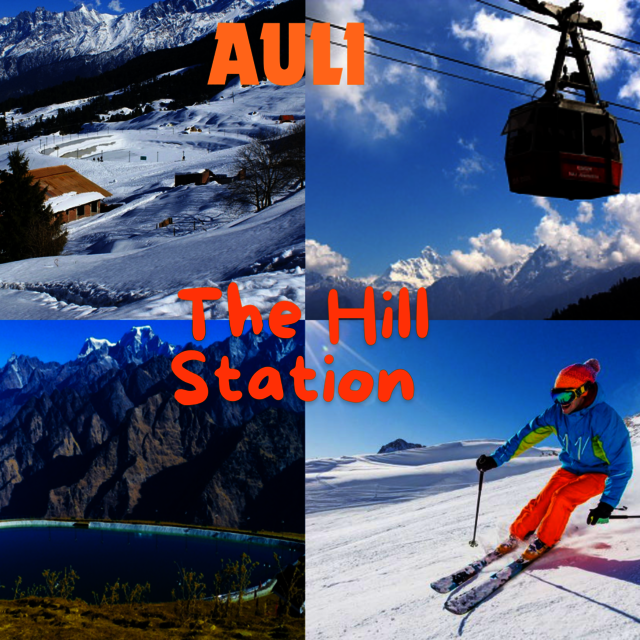 AULI Picture Box