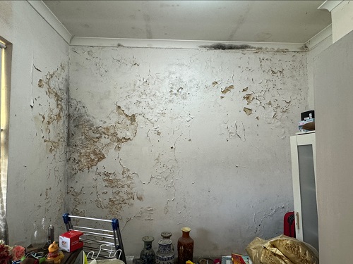 c2 Macdaddy & Co Mould Removal Sydney