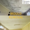 Macdaddy & Co Mould Removal Sydney