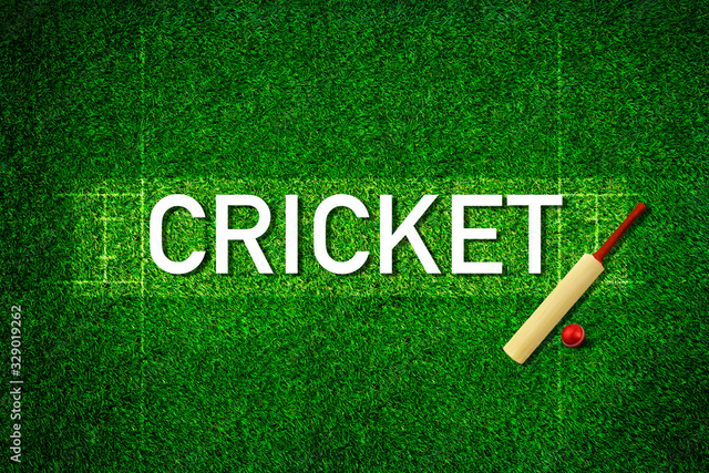 1000 F 329019262 y8jOFdFBQyn93DjE8otcItaex9wA6Svu Picture Box