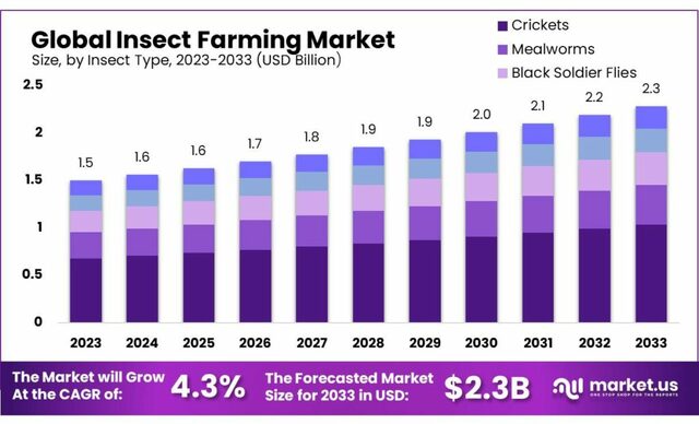 Insect-Farming-Market-1024x621 Picture Box