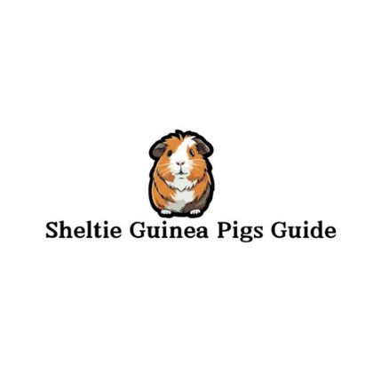 Untitled design (8) - Anonymous