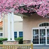 Vibrant Senior Living Commu... - Picture Box