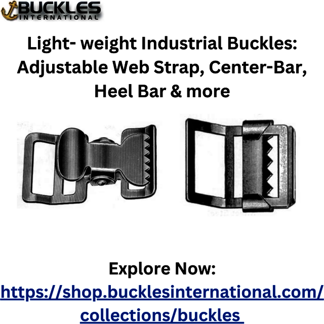 Light- weight Industrial Buckles Adjustable Web St Picture Box