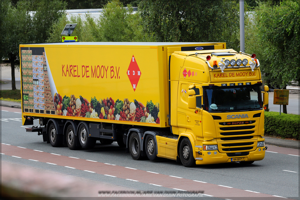 coros (4)-BorderMaker - 