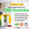 Canna Plus CBD Gummies UK Official Website & Reviews 2024