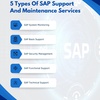 5 Types Of SAP Support And ... - Picture Box