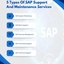 5 Types Of SAP Support And ... - Picture Box