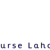 Digital Marketing Course La... - Picture Box