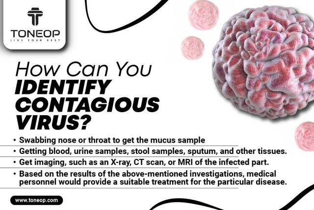 How Can You Identify Contagious Virus Picture Box