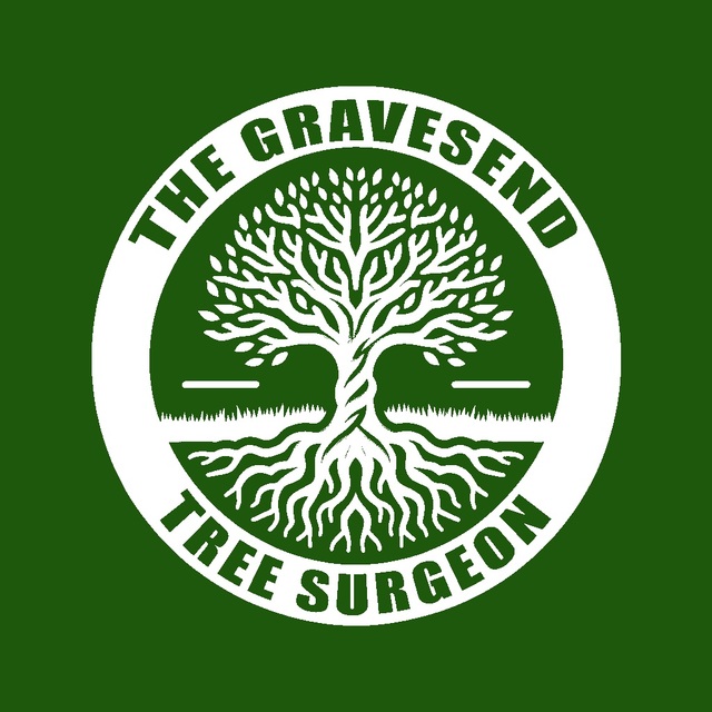 GRAVESEND tree surgeon web logo The Gravesend Tree Surgeon