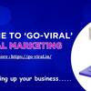 go-viral banner - Picture Box