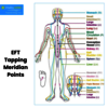 Master EFT Tapping Meridian Points with Vitality Living College.