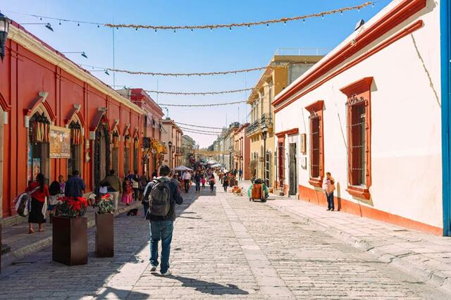 15 Best Free Things to Do in Oaxaca City, Mexico-A 15 Best Free Things to Do in Oaxaca City, Mexico