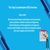SEO Overview - Picture Box