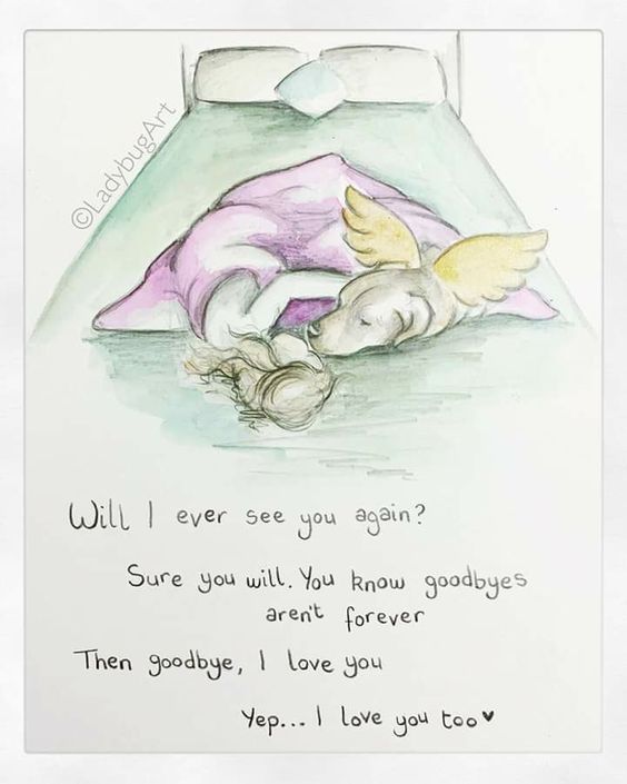 366669808 267525789361657 8413151450386449637 n - 