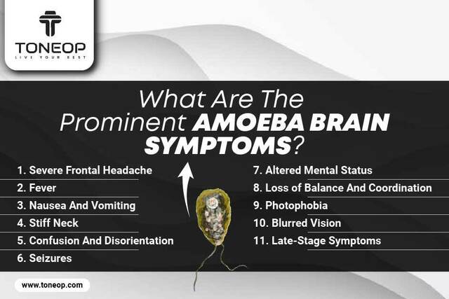 What Are The Prominent Amoeba Brain Symptoms Picture Box