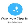 Wow Now Carpet Cleaning Tampa