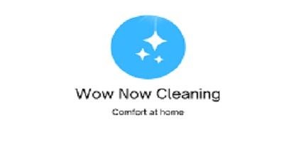 Wow Now Carpet Cleaning Tampa Wow Now Carpet Cleaning Tampa