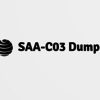 SAA-C03 Dumps