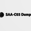 How to Use SAA-C03 Dumps fo... - SAA-C03 Dumps