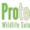 PWS Roof Rats Pest Control ... - PWS Roof Rats Pest Control ...