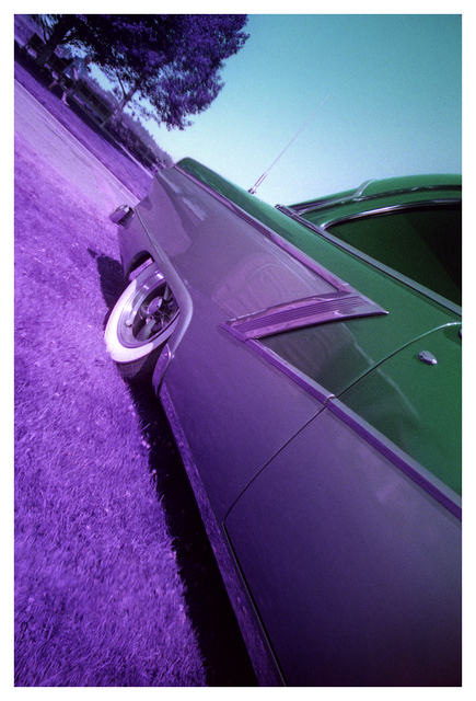 LomoApparat Purple 2024 8 Film photography