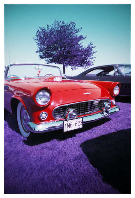 LomoApparat Purple 2024 1 Film photography