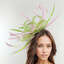 Ladies Day fascinators | ha... - Picture Box