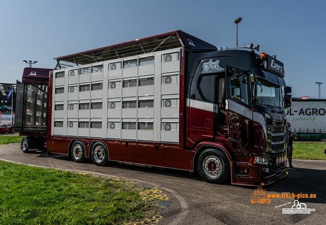 k-DieselPark Truckmeet #truckpicsfamily-81 DieselPark truckmeet, Raceway Venray, #truckpicsfamily