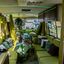 k-Historische Campingfahrze... - Historische Campingfahrzeuge beim Campingplatz Teichmann am Edersee #truckpicsfamily