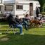 k-Historische Campingfahrze... - Historische Campingfahrzeuge beim Campingplatz Teichmann am Edersee #truckpicsfamily