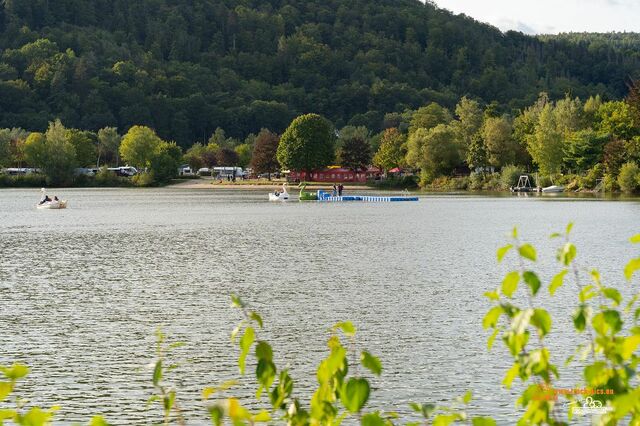 k-Historische Campingfahrzeuge #truckpicsfamily-16 Historische Campingfahrzeuge beim Campingplatz Teichmann am Edersee #truckpicsfamily