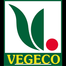 images (5) VegEco: A Sustainable Lifestyle for a Greener Future