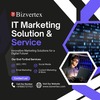 IT Marketing Services image... - Picture Box