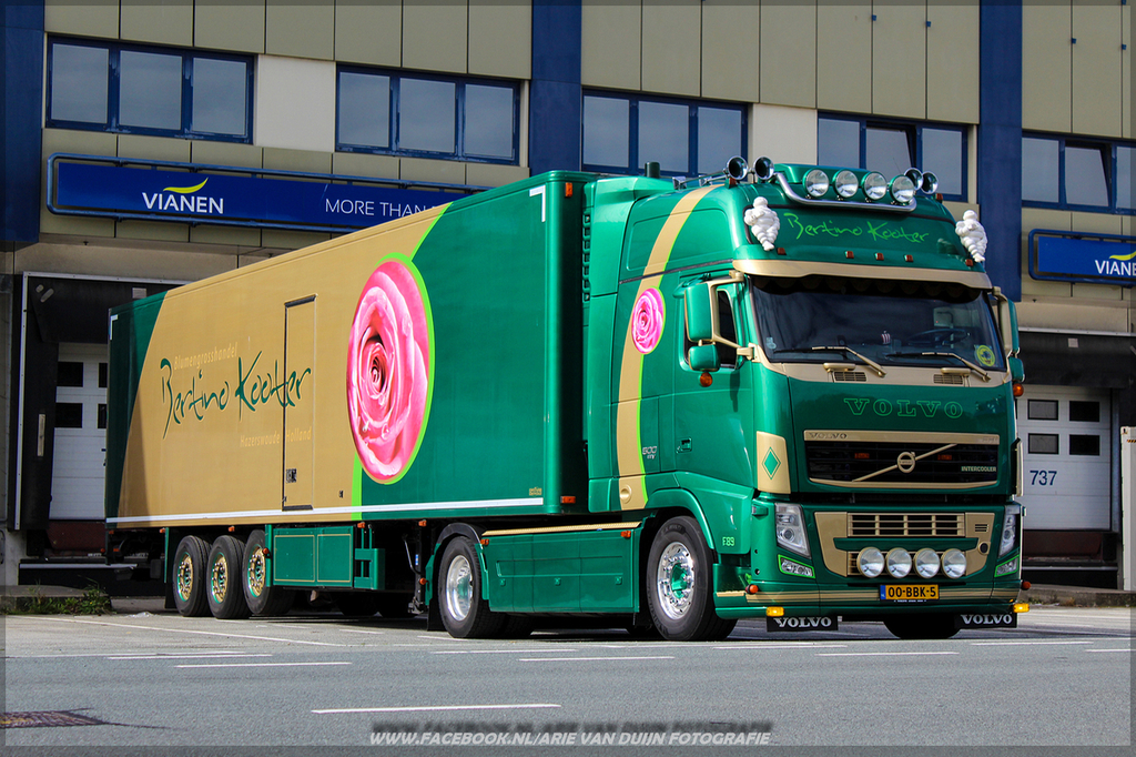 jaja (16)-BorderMaker - 