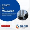 Study medicine in Malaysia (1) - Picture Box