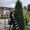 Snoeien voor en achtertuin ... - Garden 2023 & 2024