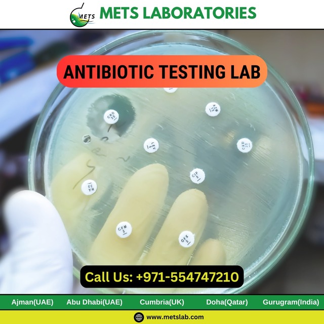 Antibiotic Testing Lab Picture Box