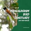 mangalavanam birds sanctuary - kochi