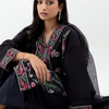 Pakistani clothes (5) - Pakistani Designer Clothing